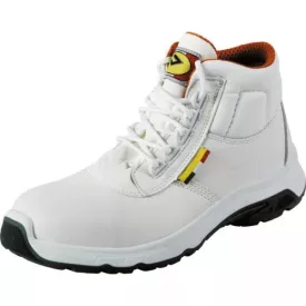 5844 White Robin S2 (5844)