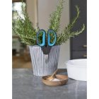 Gardena Fűszernövény olló készlet készlet erejéig