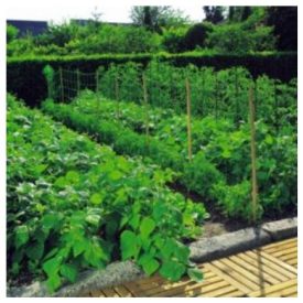 Növénytartó háló 1,2x20m 150x150 natúr