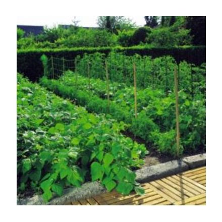 Növénytartó háló 1,2x20m 150x150 natúr