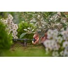 Gardena MD nyomáskiegyenlítős végcsepegtető 2 l/óra