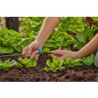 Gardena MD kisfelület sorfúvóka