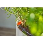 Gardena MD csepegtető öntözés készlet cserepes növényekhez S - 15