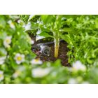 Gardena MD csepegtető öntözés klt.magaságyásokhoz és egyéb ágyásokhoz - 35 