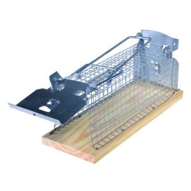   Swissinno Hagyományos élvefogó egércsapda csapóajtó rendszerű kalitka