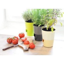 Kaspó Rosmarin Önöntözős 14 ECSONT