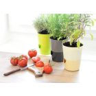 Kaspó Rosmarin Önöntözős 14 ECSONT