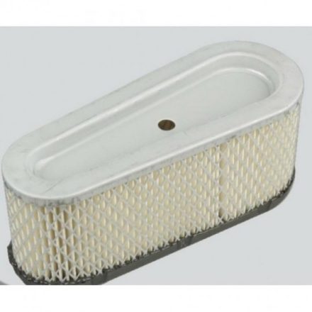 GreenPower LEVEGŐ SZŰRŐ BRIGGS 493909