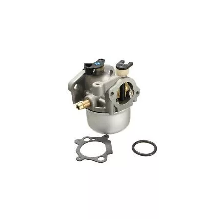 GreenPower Karburátor Briggs 799871