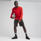 PUMA-teamGOAL-kereknyaku-pulover