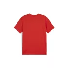 Puma-teamGOAL-polo