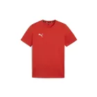 Puma-teamGOAL-polo