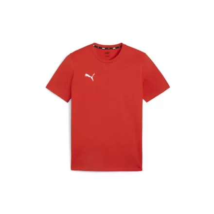 Puma-teamGOAL-polo