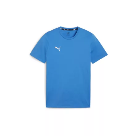 Puma-teamGOAL-polo