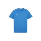 Puma-teamGOAL-polo