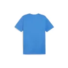 Puma-teamGOAL-polo