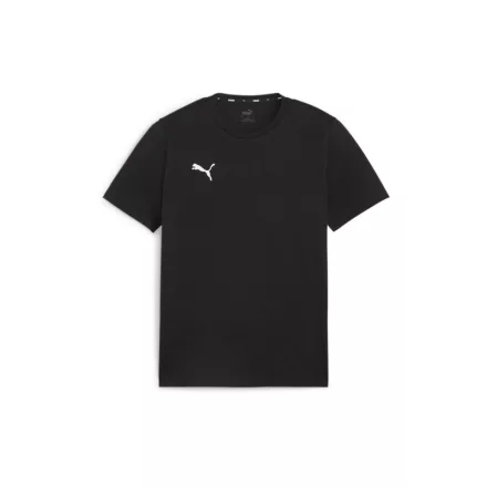 Puma-teamGOAL-polo
