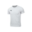 Puma-teamGOAL-polo