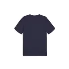 Puma-teamGOAL-polo