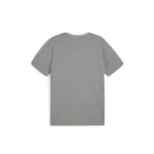 Puma-teamGOAL-polo