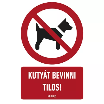 KUTYAT-BEVINNI-TILOS-vinil-ontapado-160x250