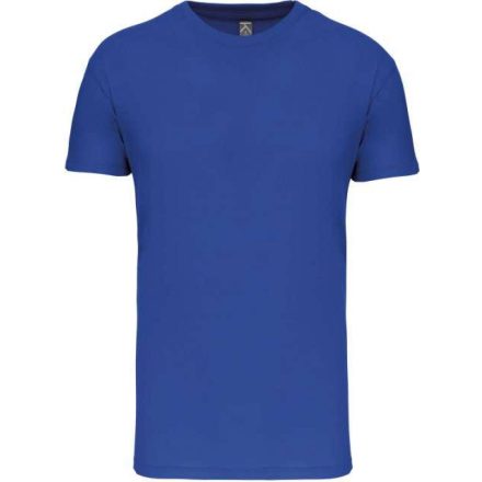 KA3025IC-BIO150IC-MENS-ROUND-NECK-T-SHIRT