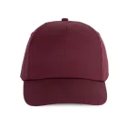 KP034-FIRST-5-PANELES-SAPKA