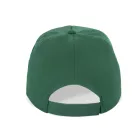 KP088-5-PANELES-SAPKA