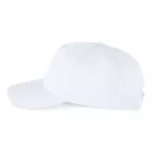 KP088-5-PANELES-SAPKA