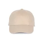 KP119-6-PANELES-KONNYEN-EMBLEMAZHATO-SAPKA