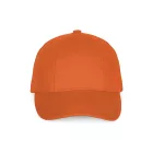 KP119-6-PANELES-KONNYEN-EMBLEMAZHATO-SAPKA