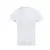 PR649-COOLCHECKER-SZAKACSPOLO-HALOS-HATSO-BETET