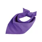 SO01198-SOLS-BANDANA
