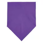 SO01198-SOLS-BANDANA